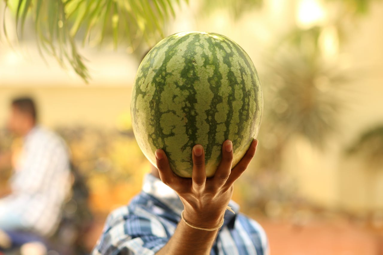 Watermelon Splat 🍉Splat! When the Body Finally Says Enough - NeftTi | Nancy Forrester