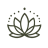 beyondsurvivalicon